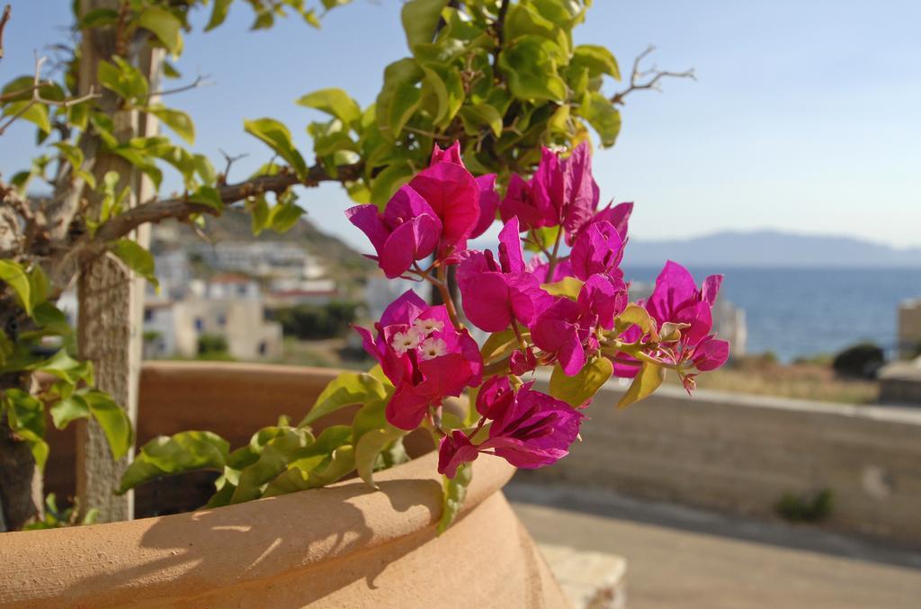 Pantonia Apartments Agia Pelagia  Camera foto